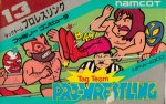 Famicom - Tag Team Pro Wrestling