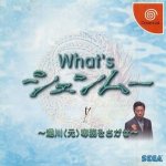 Sega Dreamcast - What is Shenmue