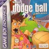 Super Dodge Ball Advance