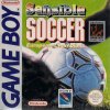 Sensible Soccer European Champions