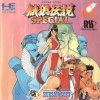 Fatal Fury Special