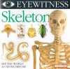 Eyewitness Skeleton