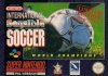 International Sensible Soccer